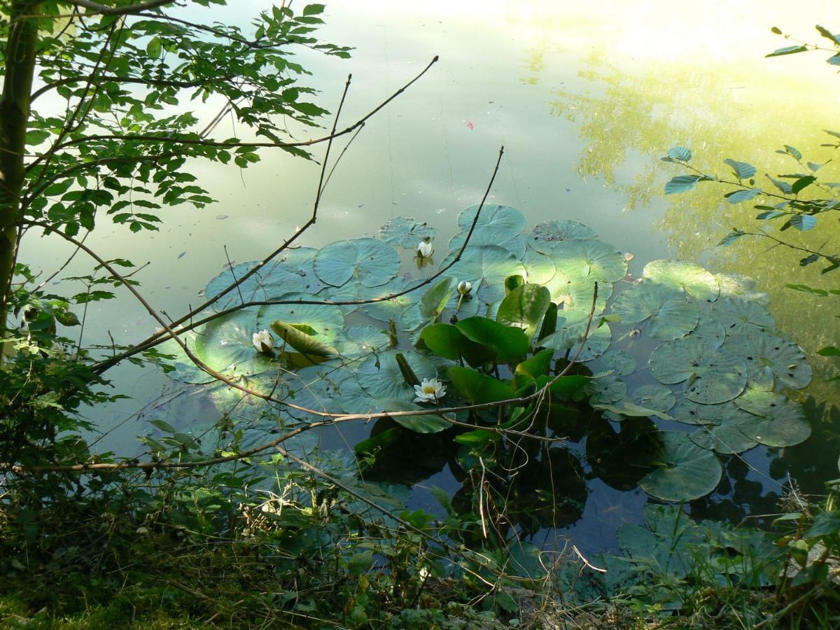 La Maison De L'Etang Sampigny Екстер'єр фото